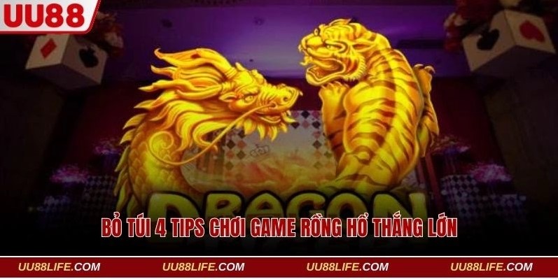 Học ngay 4 kinh nghiệm chơi game Dragon Tiger dễ thắng